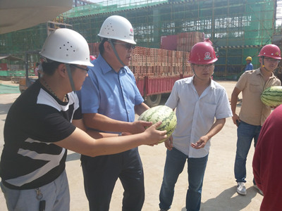 夏日暑正盛 清涼風自揚