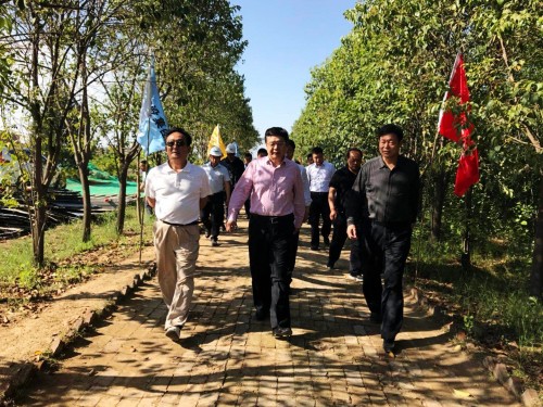 陜西省總工會黨組書記、主席白阿瑩一行蒞臨鄠邑區(qū)調(diào)研考察草堂寺健康養(yǎng)老示范項目