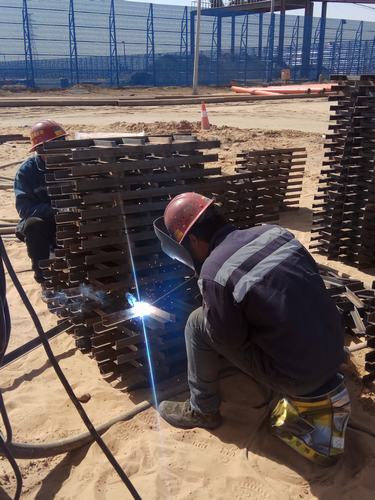 烈日下的“烤”驗