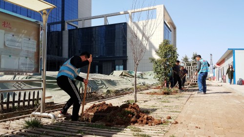 陜煤建設澄合分公司基層單位開展“植樹護綠，美麗家園”義務植樹活動