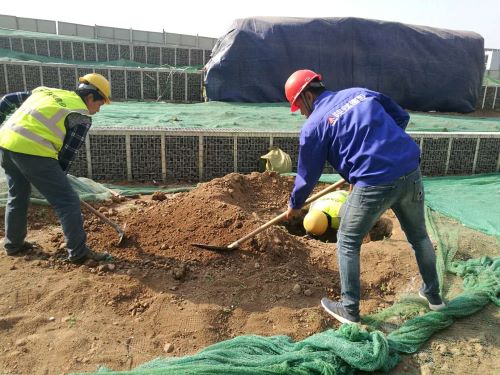 陜煤建設綠宇園林公司:激活“神經(jīng)末梢” 打響“五小”創(chuàng)新戰(zhàn)