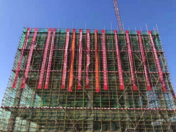 子洲黃芪綜合開發(fā)中藥材提取物生產(chǎn)線項目主體結(jié)構(gòu)全面封頂