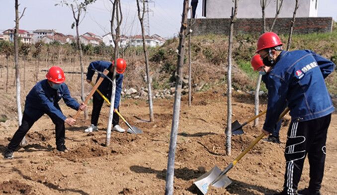 今天你植樹了嗎？