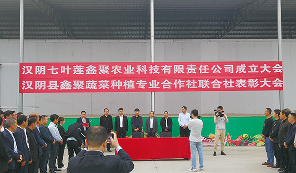 侯本英深入漢陰縣開展座談慰問(wèn)活動(dòng)