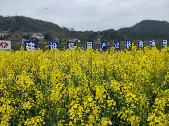 公司領(lǐng)導(dǎo)寧興剛、侯本英到扶貧定點(diǎn)幫扶村看望慰問困難群眾