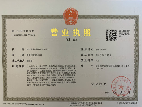 陜煤建設在西安市新城區(qū)組建區(qū)域公司