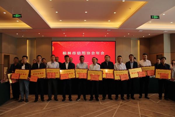 陜煤建設(shè)榆林公司當(dāng)選為榆林市信用（招投標(biāo)）協(xié)會(huì)副會(huì)長(zhǎng)單位