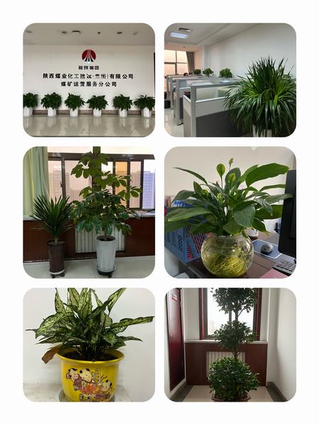 陜煤建設(shè)煤礦運(yùn)營服務(wù)公司：職工之事無小事