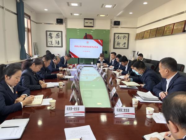 陜煤建設銅煤公司:升級黨建一體矩陣 賦能生產(chǎn)經(jīng)營融合提升