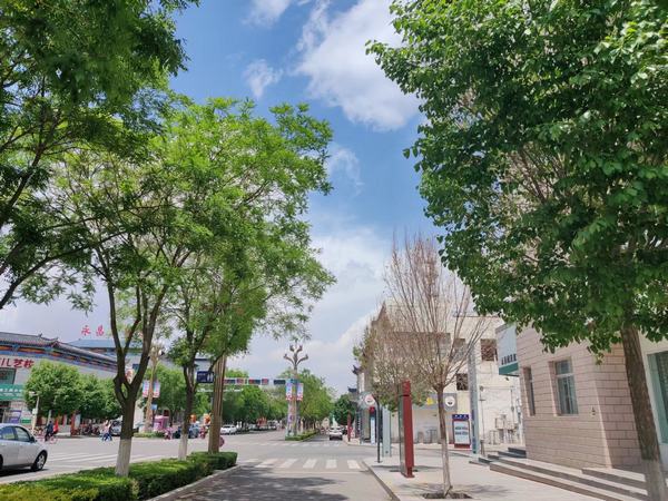 青春，慢點走