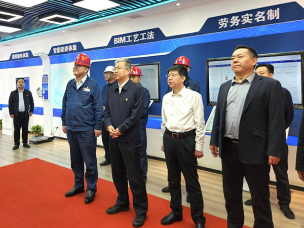 渭南市委副書記、市長陳曉勇視察龍鋼機(jī)械化綜合一次料場項(xiàng)目建設(shè)情況