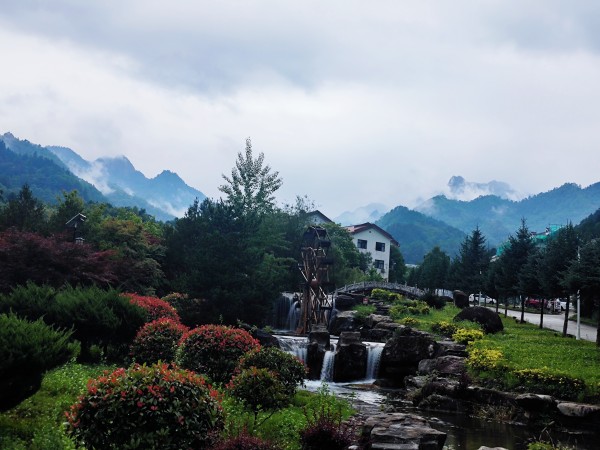 在木王山，遇見21℃的夏天