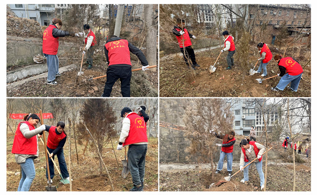 陜煤建設機電安裝公司：走，上春山，植樹去！