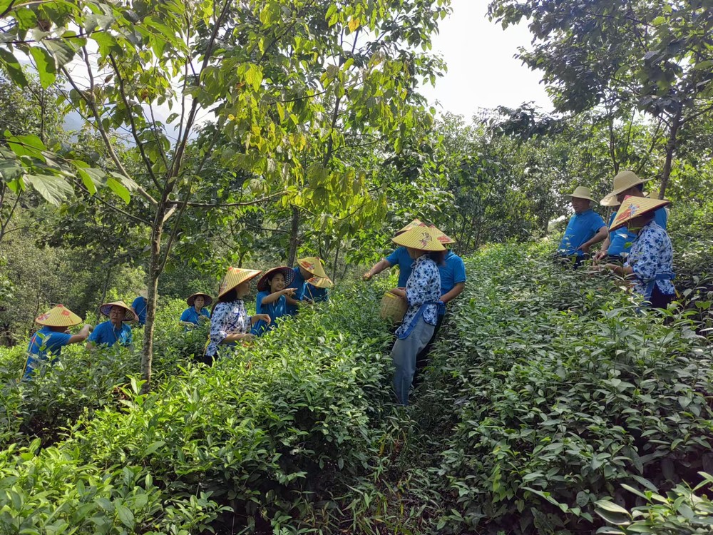 陜煤建設(shè)煤礦運(yùn)營(yíng)服務(wù)分公司：赴天池村開展主題黨日活動(dòng)