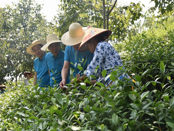陜煤建設(shè)煤礦運(yùn)營服務(wù)分公司：全方位提升職工幸福指數(shù)