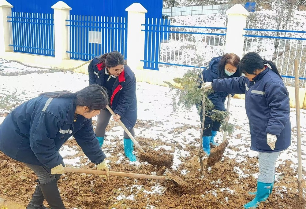 陜煤建設(shè)礦建三公司：巾幗添綠綻芳華，共筑生態(tài)新環(huán)境