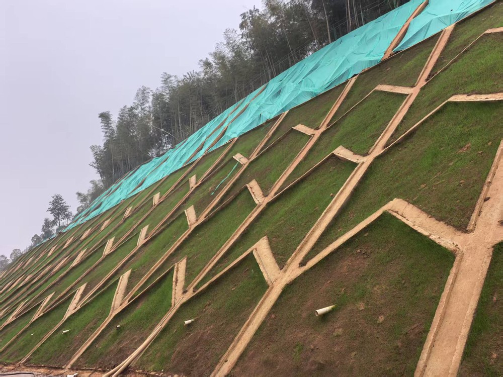 陜煤建設(shè)西北分公司：邊坡披綠衣，防護(hù)顯匠心