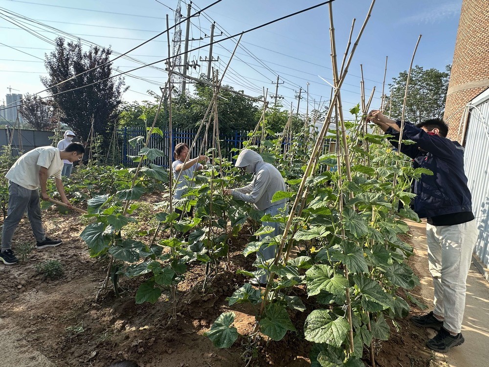 方寸菜園間，鐫刻奮斗與溫情