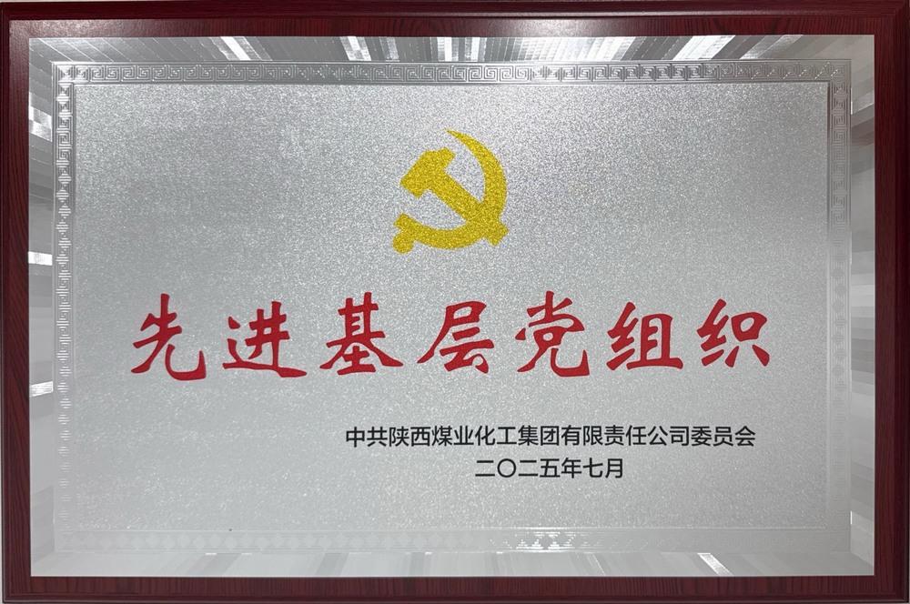 陜煤建設(shè)綠宇公司：榮獲陜煤集團(tuán)“先進(jìn)基層黨組織”稱號