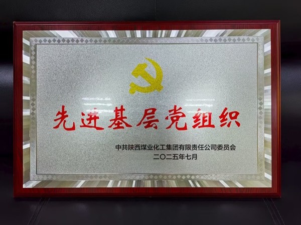 陜煤建設(shè)煤礦運營服務(wù)分公司黨總支榮獲陜煤集團(tuán)“先進(jìn)基層黨組織”稱號