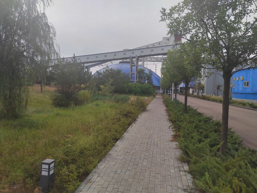 陜煤建設(shè)洗選煤運(yùn)營公司紅柳林洗煤廠項(xiàng)目部：秋韻里的安全堅守與生產(chǎn)奮進(jìn)